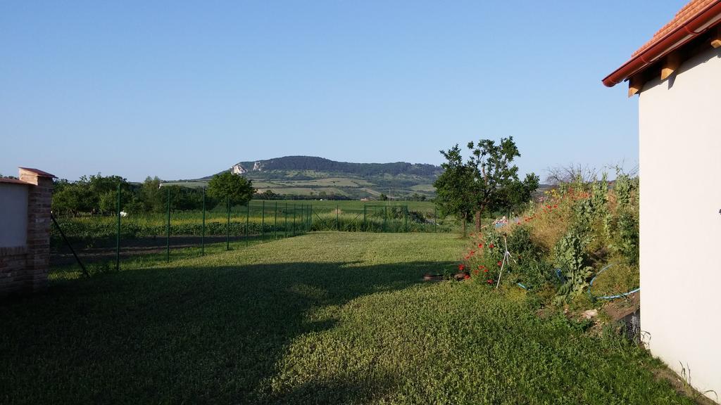 Penzion Dolni Dunajovice Luaran gambar